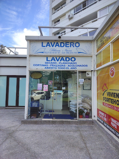Lavadero Blanca Nieves Punta