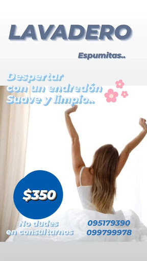 Lavadero espumitas