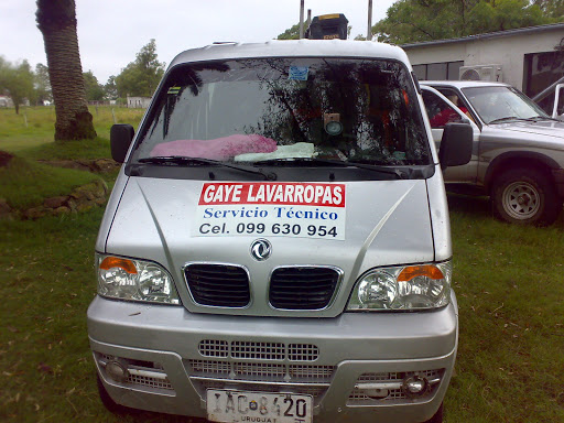 Gaye Lavarropas Coyote Disco