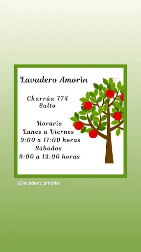 Lavadero AMORIN