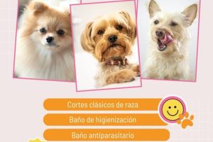 Peluquería y estética canina AKIRA & CUQUI