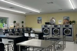 Pure Spin Laundry