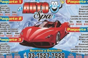 Spa del Automóvil lavado de autos