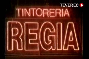Tintorería Regia